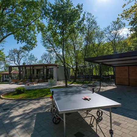 Vita, A Lush Romantic Retreat In A Private Forest Vinez