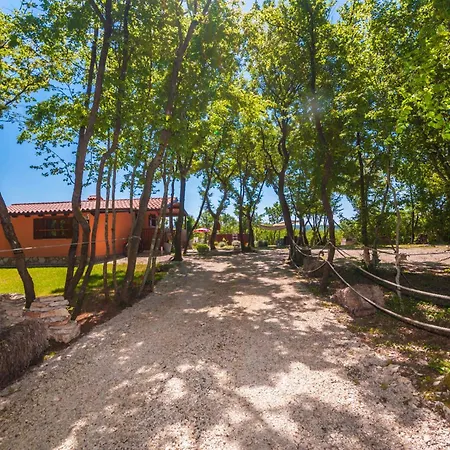 Vita, A Lush Romantic Retreat In A Private Forest Vinez